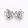 304 Stainless Steel Charms STAS-I089-12AS-2