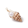 3Pcs Natural Shell Pendants PALLOY-JF03226-02-4