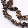 Natural Tiger Eye Stone Bead Strands G-R192-19-3