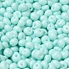 6/0 Opaque Baking Paint Glass Seed Beads X1-SEED-M012-02A-04-3