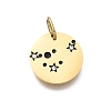 Twelve Constellations 304 Stainless Steel Enamel Pendants STAS-A148-01G-12-1
