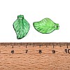 Transparent Acrylic Pendants X-TACR-436-17-3