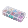 Drawbench Baking Painted Glass Beads GLAD-JP0001-02-10mm-2