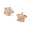 Transparent Acrylic Beads TACR-S091-12mm-05-3