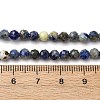 Natural Lapis Lazuli Beads Strands G-RM2025-A41-4mm-B-5