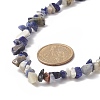 Natural Sodalite Chip Beaded Necklaces with 304 Stainless Steel Lobster Claw Clasp & Chain Extender NJEW-JN04225-02-2