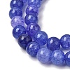 Crackle Glass Beads Strands GLAA-F098-05C-11-6