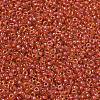 MIYUKI Round Rocailles Beads SEED-X0054-RR0235-2