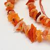 Natural Gemstone Beads Strands G-K202-12-3