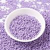 MIYUKI Round Rocailles Beads SEED-X0055-RR4486-2
