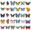 Butterfly Waterproof Self Adhesive PVC Stickers PW-WG1BC4D-01-3