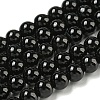 Natural Black Onyx Round Bead Strands G-R198-6mm-1