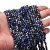 Natural Sodalite Beads Strands G-I389-A08-1