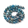 Natural Apatite Beads G-E481-05-8mm-01-3