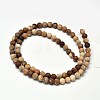 Frosted Natural Petrified Wood Round Bead Strands G-F266-07-8mm-2
