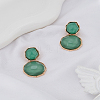 1 Pair Resin Dangle Stud Earrings EJEW-LP0004-82A-3