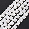 Natural Freshwater Shell Beads Strands SHEL-H002-02E-3