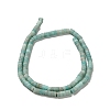 Natural Amazonite Beads Strands G-P575-B41-4x2mm-3