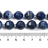 Natural Lapis Lazuli Beads Strands G-G182-B01-06-5