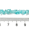 Transparent Glass Beads Strands GLAA-P060-01C-19-3