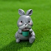 Resin Rabbit Miniature Ornaments PW-WGF87E4-05-1