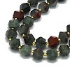 Natural Bloodstone Beads Strand G-I376-A16-01-3