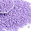 Baking Paint Glass Seed Beads SEED-K010-A05-1