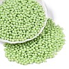 Glass Seed Beads SEED-T007-01L-3