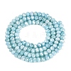 Anti-Tarnish Dyed Rondelle Glass Beads Strands EGLA-T021-3mm-17-07-2