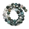 Natural Tree Agate Beads Strands G-I199-03-10mm-5