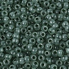 6/0 Transparent Inside Colours Glass Seed Beads SEED-N008-08D-3