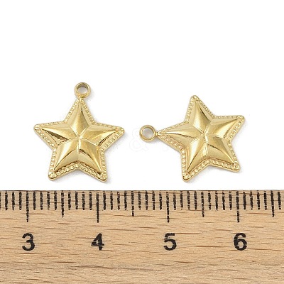 Ion Plating(IP) 304 Stainless Steel Pendants STAS-R233-09G-1