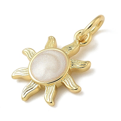 Rack Plating Brass Enamel Charms KK-K392-50G-02-1
