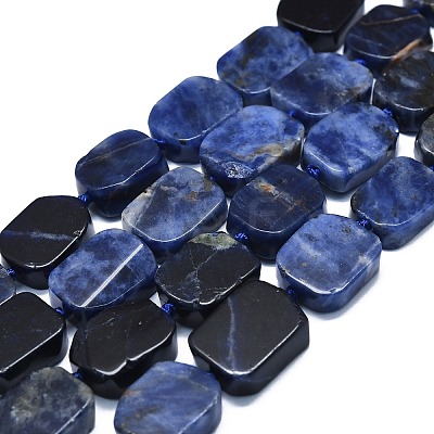 Natural Sodalite Beads Strands G-K245-J15-01-1