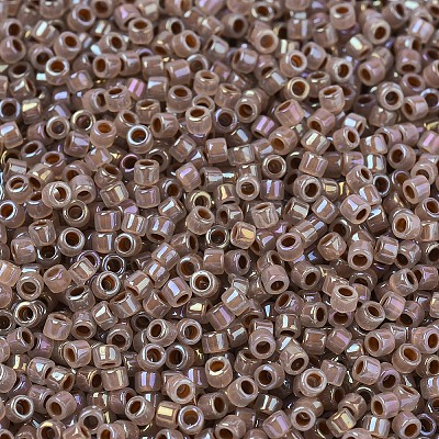 MIYUKI Delica Beads SEED-MY11-DB1749-1