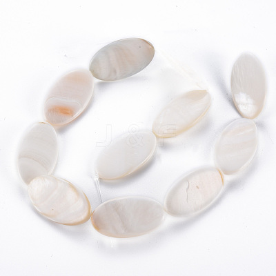Natural Freshwater Shell Beads Strands SHEL-N026-169-1
