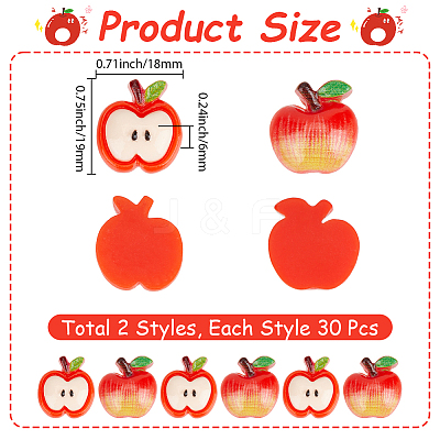 60Pcs 2 Styles Resin Cabochons RESI-SC0006-48-1