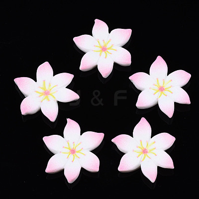 Spray Painted Opaque Resin Cabochons CRES-S302-55-1