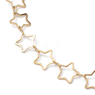 Ion Plating(IP) 304 Stainless Steel Star Link Chain Anklets for Men Women STAS-B039-14G-1