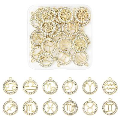 24Pcs 12 Styles Zinc Alloy Crystal Rhinestone Pendants FIND-FS0004-40-1