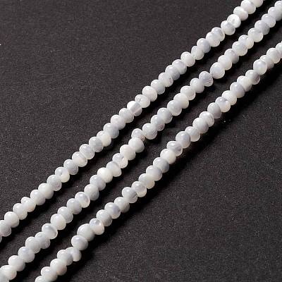 Natural Trochid Shell/Trochus Shell Beads Strands SSHEL-O001-24B-02-1