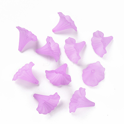 Transparent Acrylic Beads X-BSF796-C08-1