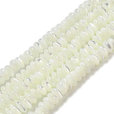 Natural Trochus Shell Beads Strands SSHEL-H072-11-1