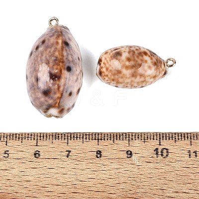 Electroplate Natural Cowrie Shell Pendants SSHEL-Q100-30KCG-1