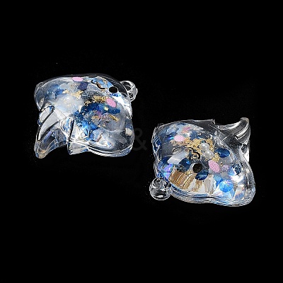 Luminous Transparent Acrylic Pendants TACR-F006-01-1