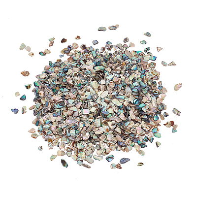 1 Bags Abalone Shell Flakes Cabochons SHEL-GA0001-17A-1
