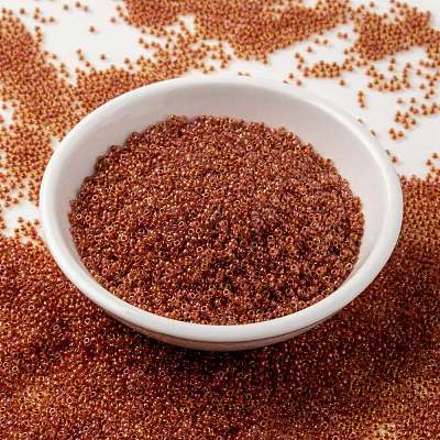 MIYUKI Round Rocailles Beads SEED-JP0010-RR0235-1