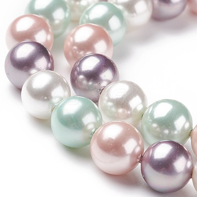 Shell Pearl Bead Strands BSHE-L017-10-1
