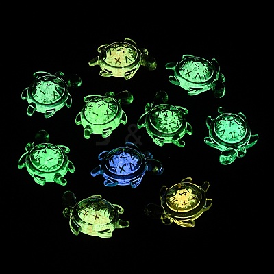 Luminous Transparent Acrylic Pendants TACR-P010-02-1