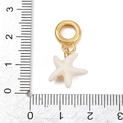 Brass Resin European Dangle Charms KK-CBA3642-01G-05-1
